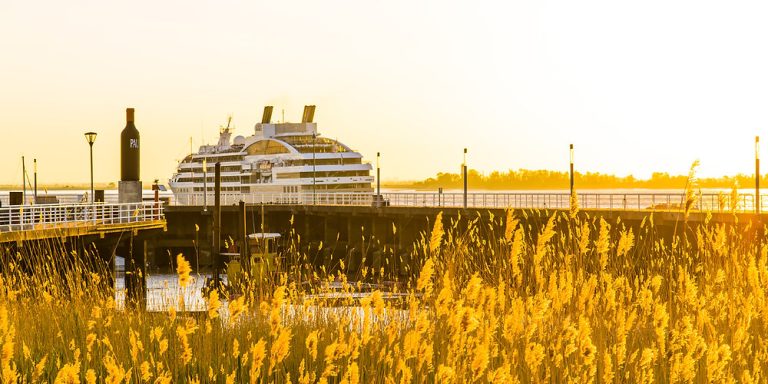 Themed Cruises Worth Setting Sails For