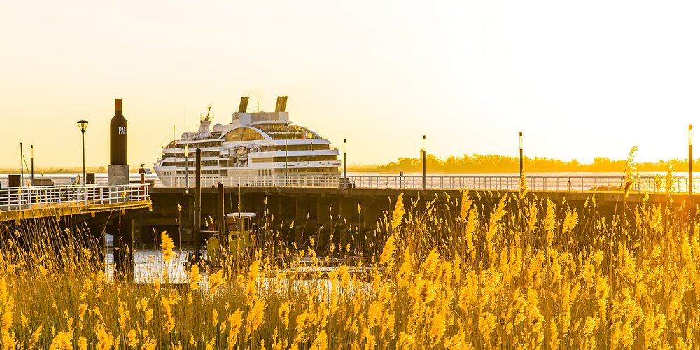 Themed Cruises Worth Setting Sails For