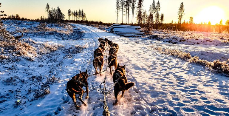 Finland: A Land of Magical Wonder