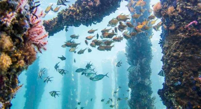 Experience Western Australia’s Wonders Virtually