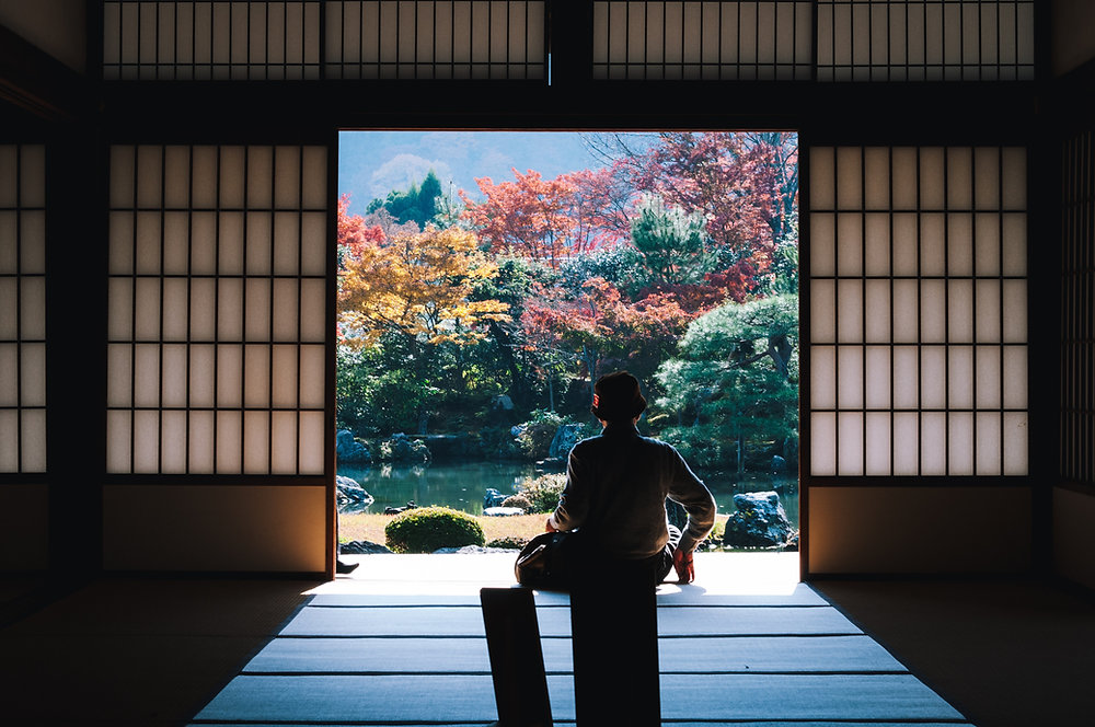 日本に行きたいです ! (I want to go to Japan!)