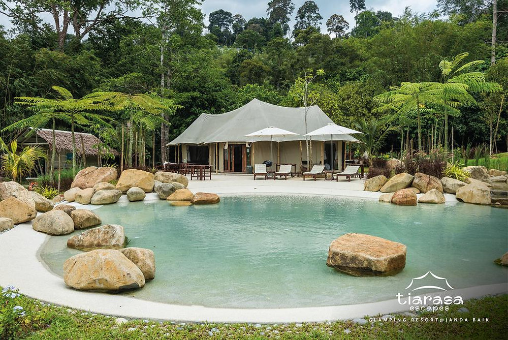 The Art of Glamping in Malaysia