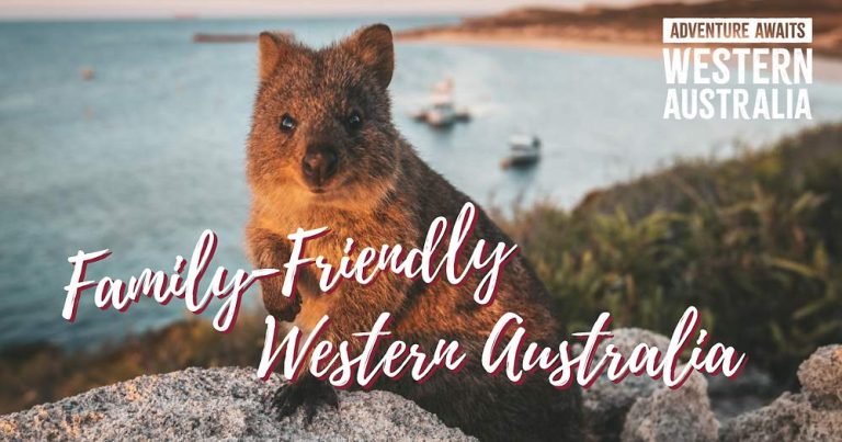 3 Family-Friendly Spots in Western Australia that lets You meet their Resident Wildlife!