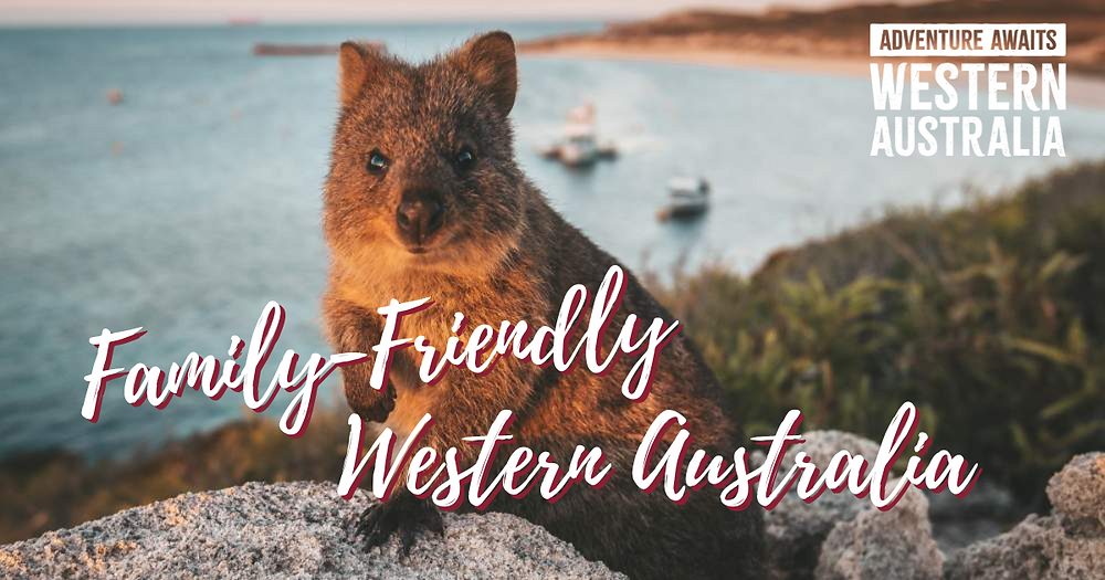 3 Family-Friendly Spots in Western Australia that lets You meet their Resident Wildlife!