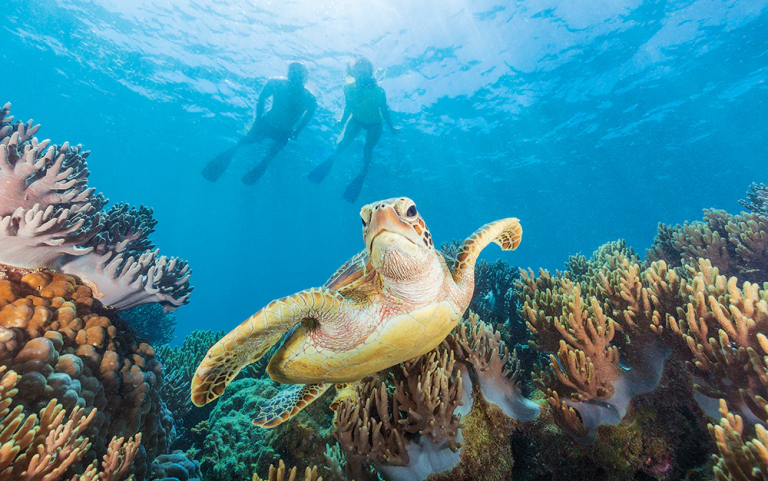 5 Reasons to Scoot on over to Queensland with Sedunia Travel