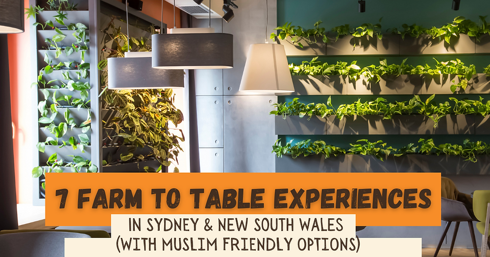 7 Farm to Table Experiences in New South Wales (with Muslim-Friendly Options)