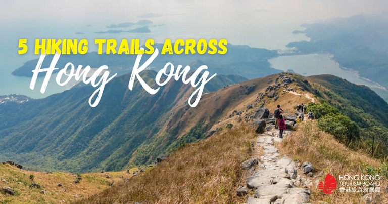 5 Hike Trails in Hong Kong with incredible views