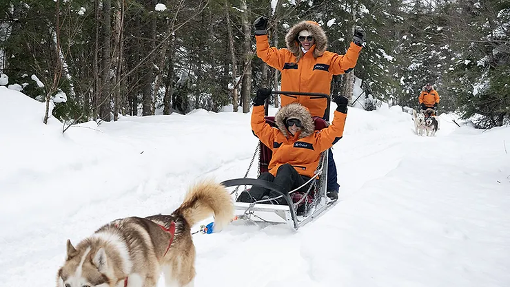 Guests sailing on Le Commandant Charcot can embark on thrilling dog sledding excursions across the Arctic, guided by experienced mushers.