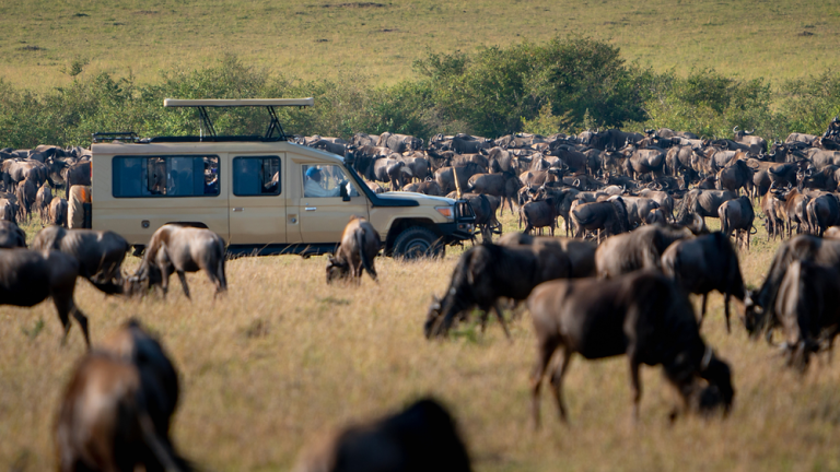 Chasing the Great Migration: A Seasonal Guide to Kenya and Tanzania