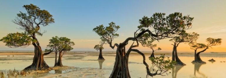 Beyond Bali: 5 Extraordinary Indonesia Escapes