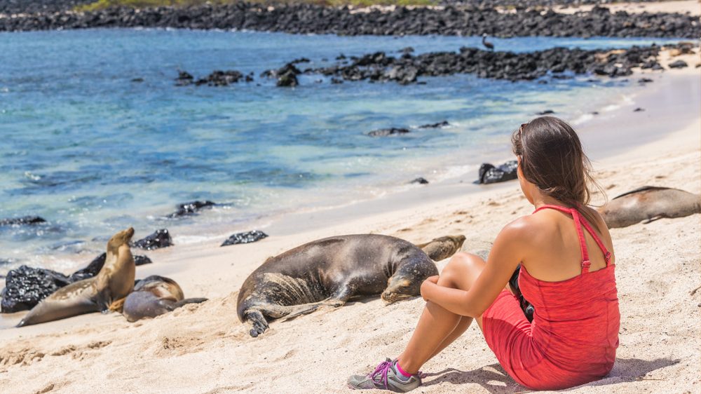 Galápagos Islands, Ecuador
