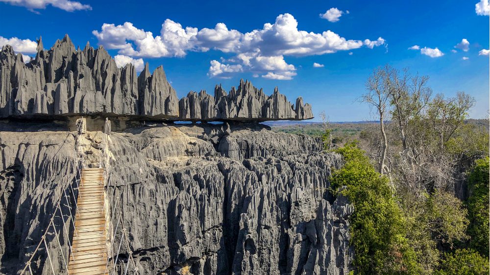 Cross the Stone Forest of Tsingy de Bemaraha