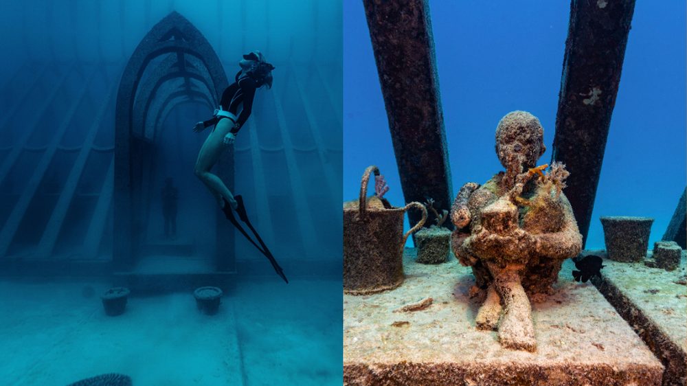 Living Gallery at the Museum of Underwater Art