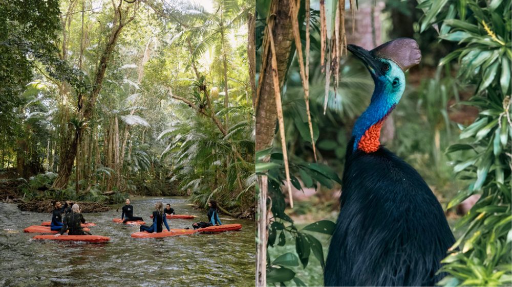 river float in Daintree Rainforest