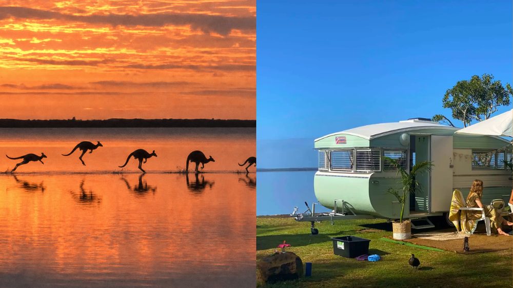 Drift Through the Noosa Everglades