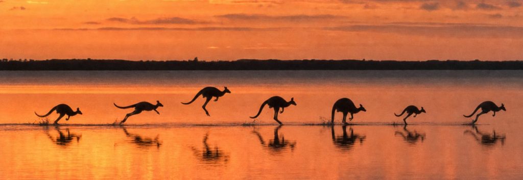 10 Immersive Experiences That Reveal the Queensland Most Travellers Never See