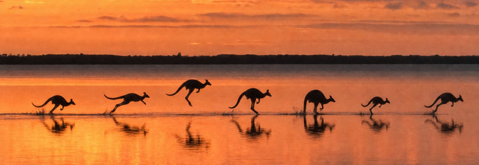 10 Immersive Experiences That Reveal the Queensland Most Travellers Never See